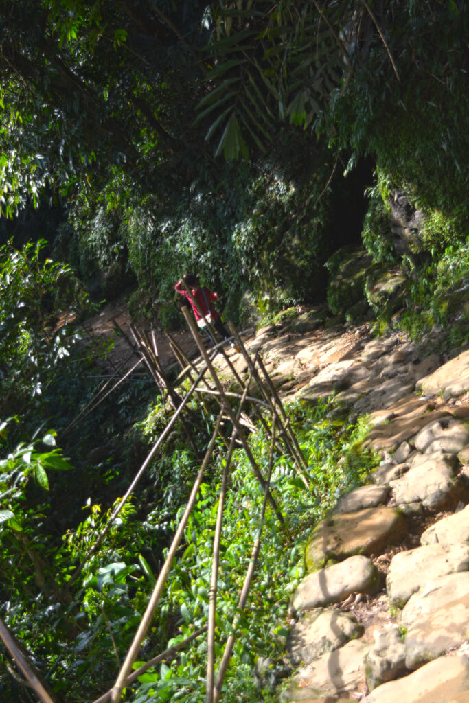 way to living root bridge