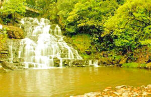 elephant falls