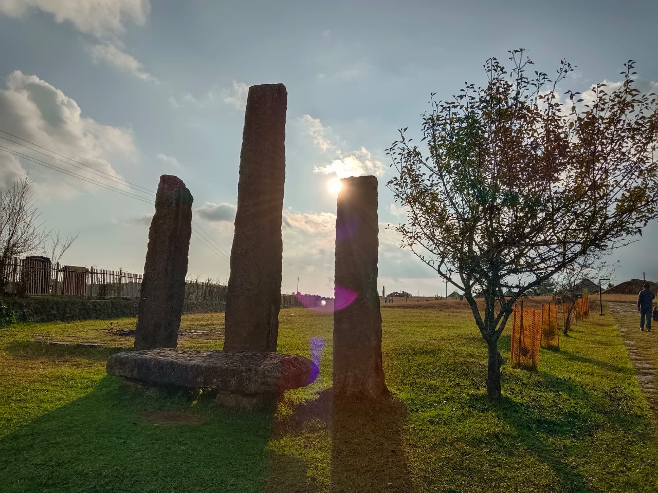 Sacred grove in Meghalaya with dense green forest and sunlight filtering through trees
