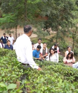 Tourists plucking fresh tea leaves at Amchong Tea Estate Assam