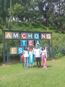 Lush green tea gardens at Amchong Tea Park near Guwahati, Assam