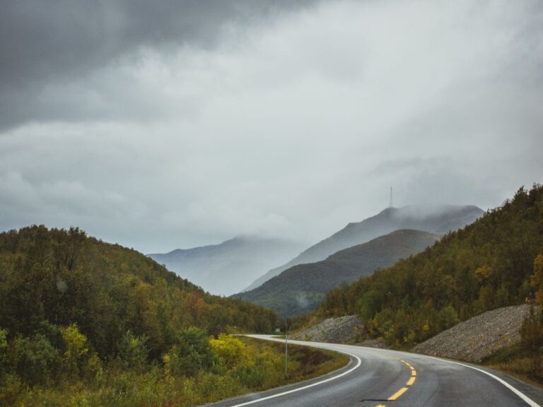 Beautiful highway surrounded by nature during a road trip