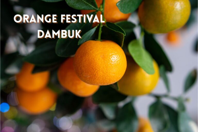 Crowd enjoying live music at the Orange Festival in Dambuk, Arunachal Pradesh